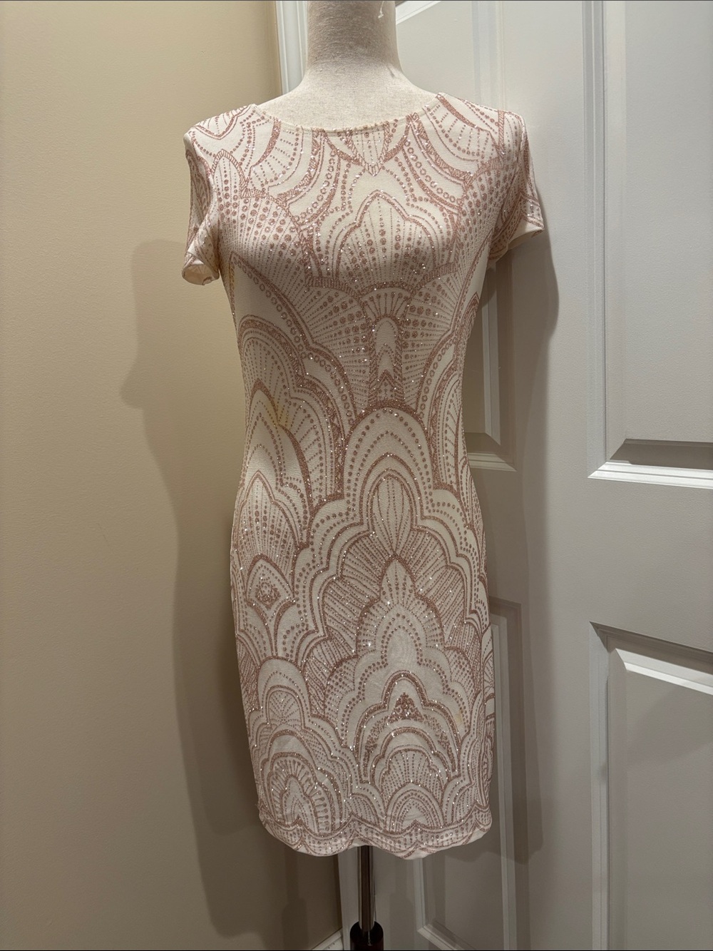 Embellished Blush Pink Sheath Dress